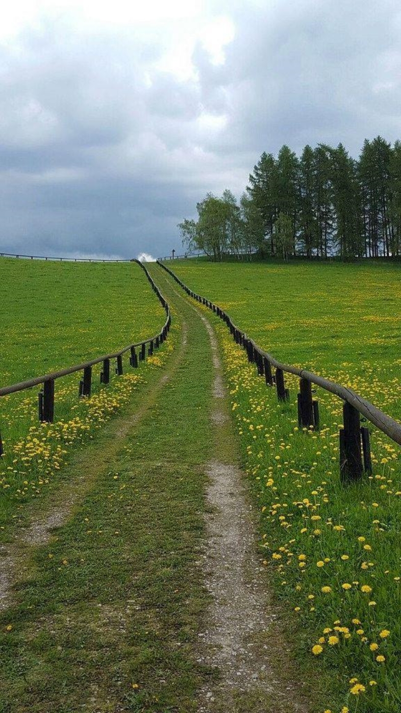 Cầu nguyện cho chiến tranh Nga và Ukraine sớm kết thúc.  